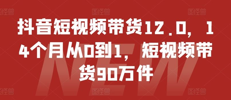 抖音短视频带货12.0，14个月从0到1，短视频带货90万件-耐玩网创