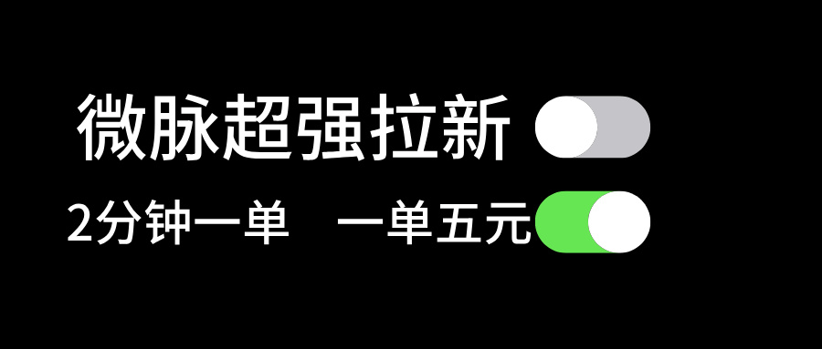 （11580期）微脉超强拉新， 两分钟1单， 一单利润5块，适合小白-耐玩网创