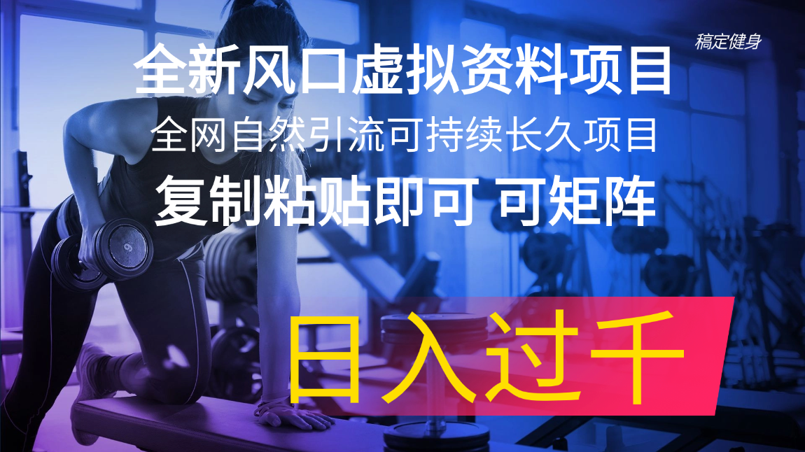 （11587期）全新风口虚拟资料项目 全网自然引流可持续长久项目 复制粘贴即可可矩阵…-耐玩网创