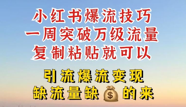 小红书爆流技巧，一周突破万级流量，复制粘贴就可以，引流爆流变现【揭秘】-耐玩网创
