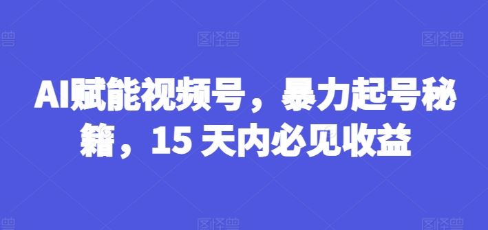 AI赋能视频号，暴力起号秘籍，15 天内必见收益【揭秘】-耐玩网创