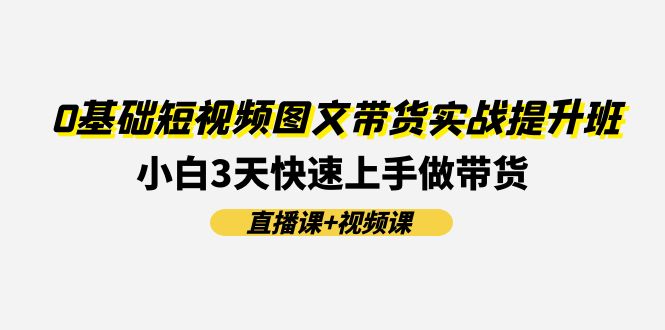 0基础短视频图文带货实战提升班，小白3天快速上手做带货(直播课+视频课)-耐玩网创
