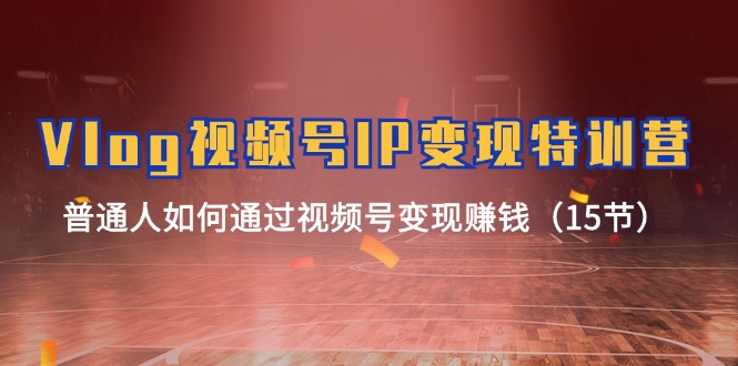 （11654期）Vlog 视频号IP变现特训营，普通人如何通过视频号变现赚钱（15节）-耐玩网创