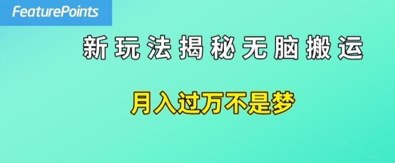 简单操作，每天50美元收入，搬运就是赚钱的秘诀【揭秘】-耐玩网创
