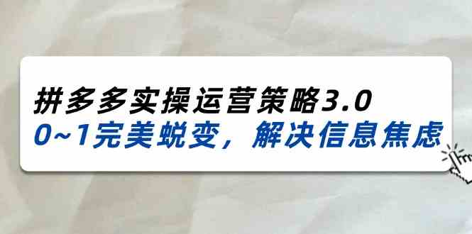 2024-2025拼多多实操运营策略3.0，0~1完美蜕变，解决信息焦虑（38节）-耐玩网创