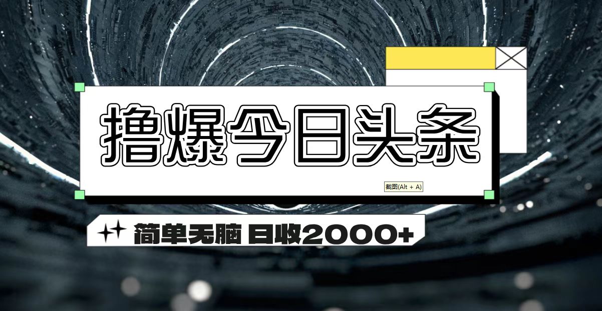 （11665期）撸爆今日头条 简单无脑操作 日收2000+-耐玩网创