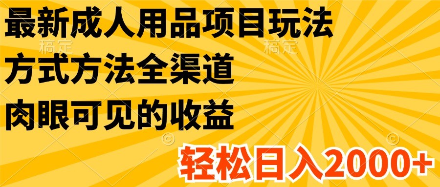 最新成人用品项目玩法，方式方法全渠道，肉眼可见的收益，轻松日入2000+-耐玩网创