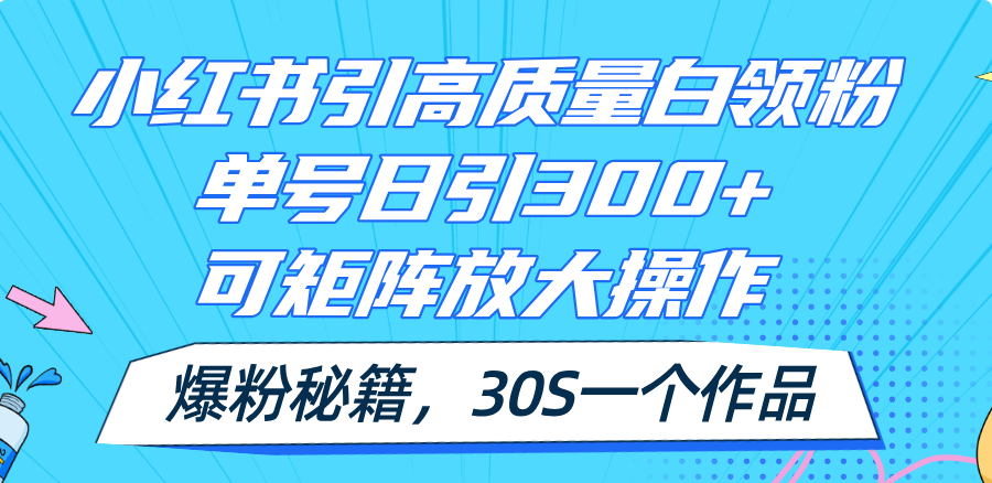 （11692期）小红书引高质量白领粉，单号日引300+，可放大操作，爆粉秘籍！30s一个作品-耐玩网创