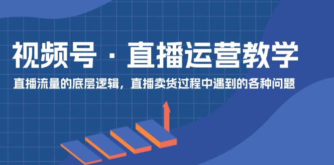 视频号直播运营教学：直播流量的底层逻辑，直播卖货过程中遇到的各种问题-耐玩网创