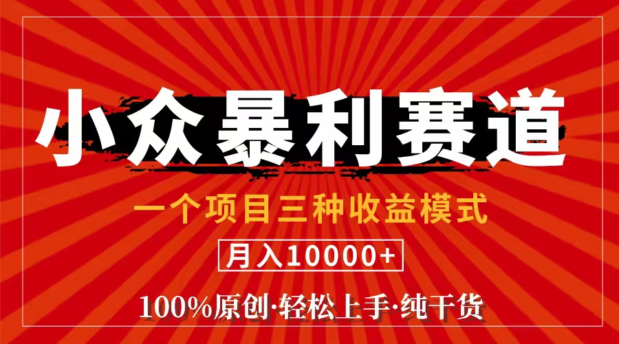（11695期）视频号【中老年粉深信不疑】小众赛道 100%原创 手把手教学 新号3天收益…-耐玩网创
