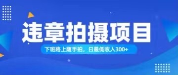 （11698期）随手拍也能赚钱？对的日入300+-耐玩网创