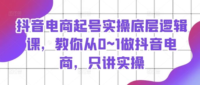 抖音电商起号实操底层逻辑课，教你从0~1做抖音电商，只讲实操-耐玩网创