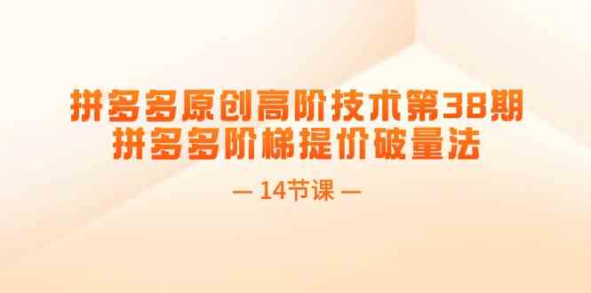 拼多多原创高阶技术第38期，拼多多阶梯提价破量法（14节课）-耐玩网创