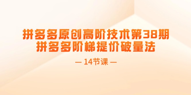 （11704期）拼多多原创高阶技术第38期，拼多多阶梯提价破量法（14节课）-耐玩网创