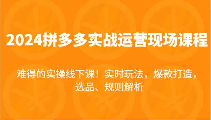 2024拼多多实战运营现场课，实时玩法，爆款打造，选品、规则解析，难得的实操线下课！-耐玩网创
