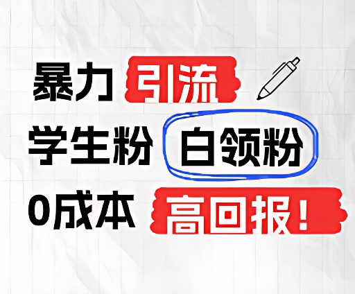 暴力引流学生粉白领粉，吊打以往垃圾玩法，0成本，高回报-耐玩网创