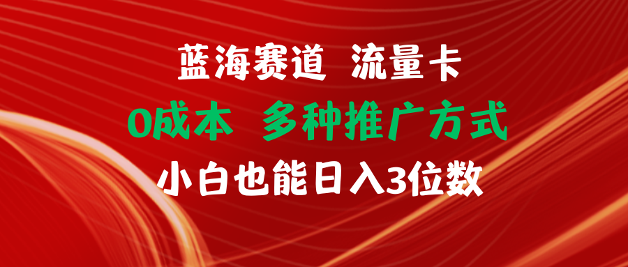 （11768期）蓝海赛道 流量卡 0成本 小白也能日入三位数-耐玩网创