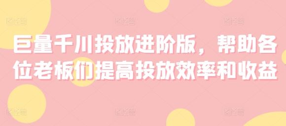 巨量千川投放进阶版，帮助各位老板们提高投放效率和收益-耐玩网创