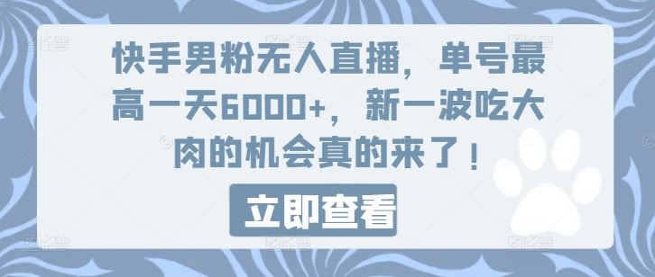 快手男粉无人直播，单号最高一天6000+，新一波吃大肉的机会真的来了-耐玩网创