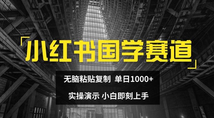 小红书国学赛道，无脑粘贴复制，单日1K，实操演示，小白即刻上手【揭秘】-耐玩网创