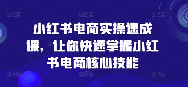 小红书电商实操速成课，让你快速掌握小红书电商核心技能-耐玩网创
