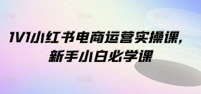 1V1小红书电商运营实操课，新手小白必学课-耐玩网创