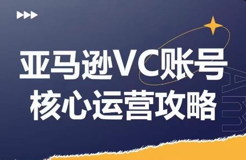 亚马逊VC账号核心玩法解析，实战经验拆解产品模块运营技巧，提升店铺GMV，有效提升运营利润-耐玩网创