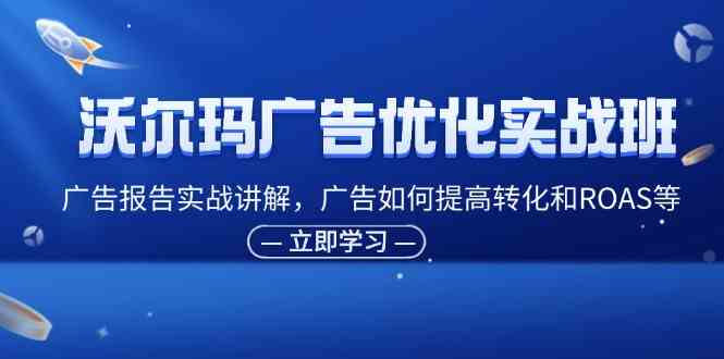 沃尔玛广告优化实战班，广告报告实战讲解，广告如何提高转化和ROAS等-耐玩网创