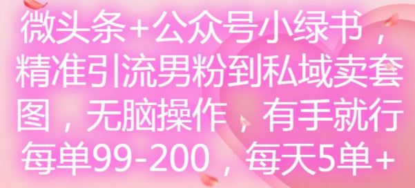 微头条+公众号小绿书，精准引流男粉到私域卖套图，无脑操作，有手就行，每单99-200，每天5单-耐玩网创