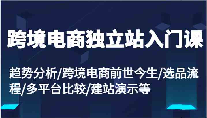 跨境电商独立站入门课：趋势分析/跨境电商前世今生/选品流程/多平台比较/建站演示等-耐玩网创