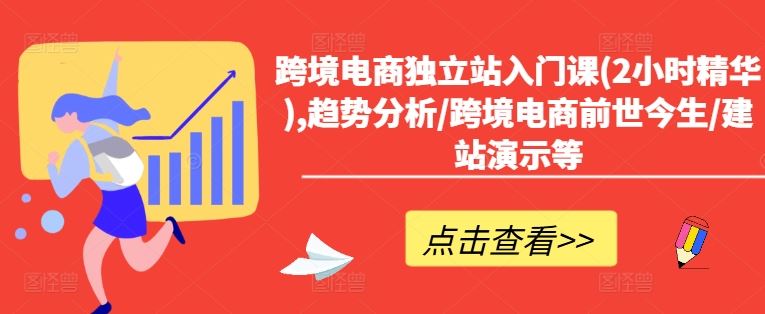 跨境电商独立站入门课(2小时精华),趋势分析/跨境电商前世今生/建站演示等-耐玩网创