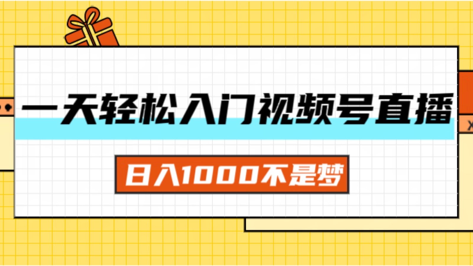 （11906期）一天入门视频号直播带货，日入1000不是梦-耐玩网创