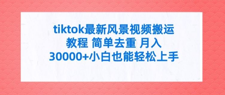 tiktok最新风景视频搬运教程 简单去重 月入3W+小白也能轻松上手【揭秘】-耐玩网创