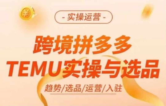 跨境拼多多TEMU实操与选品，多多temu跨境选品运营实操-耐玩网创