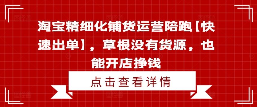 淘宝精细化铺货运营陪跑【快速出单】，草根没有货源，也能开店挣钱-耐玩网创