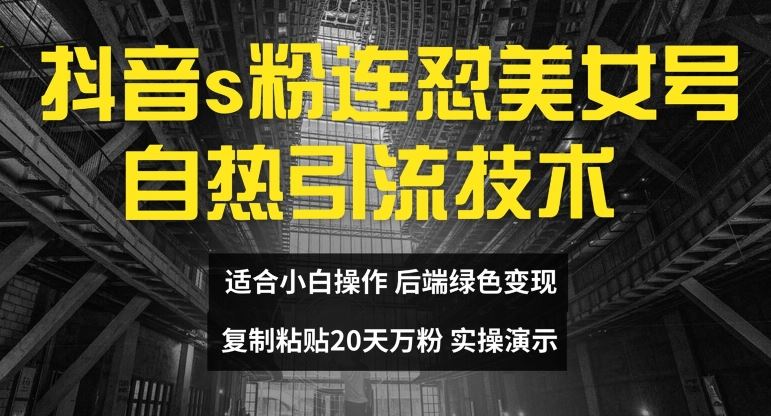 抖音s粉连怼美女号自热引流技术复制粘贴，20天万粉账号，无需实名制，矩阵操作【揭秘】-耐玩网创