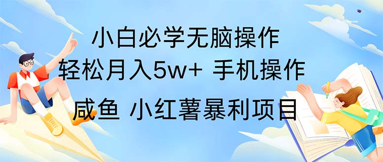 （11953期）2024热门暴利手机操作项目，简单无脑操作，每单利润最少500-耐玩网创
