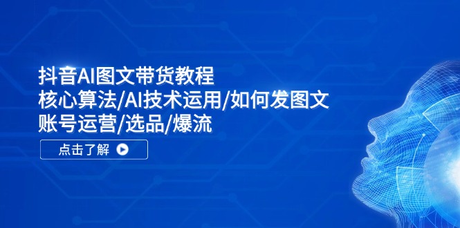 抖音AI图文带货教程：核心算法/AI技术运用/如何发图文/账号运营/选品/爆流-耐玩网创