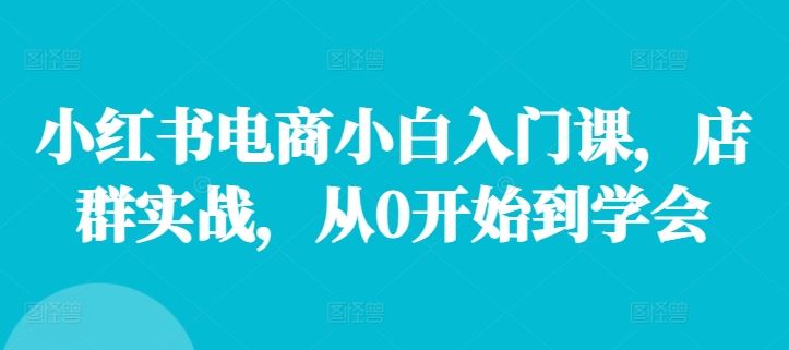 小红书电商小白入门课，店群实战，从0开始到学会-耐玩网创