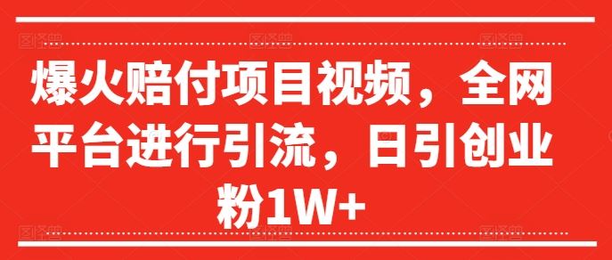 爆火赔付项目视频，全网平台进行引流，日引创业粉1W+【揭秘】-耐玩网创