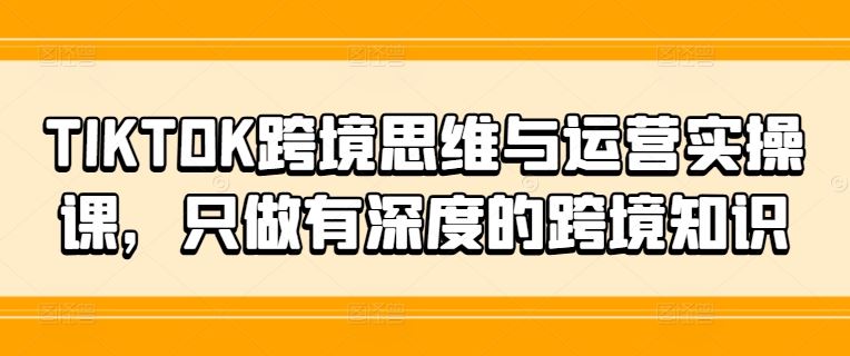 TIKTOK跨境思维与运营实操课，只做有深度的跨境知识-耐玩网创