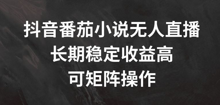 抖音番茄小说无人直播，长期稳定收益高，可矩阵操作【揭秘】-耐玩网创