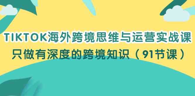 TIKTOK海外跨境思维与运营实战课，只做有深度的跨境知识（91节课）-耐玩网创