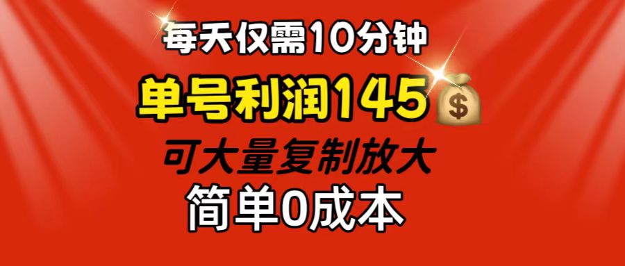 （12027期）每天仅需10分钟，单号利润145 可复制放大 简单0成本-耐玩网创