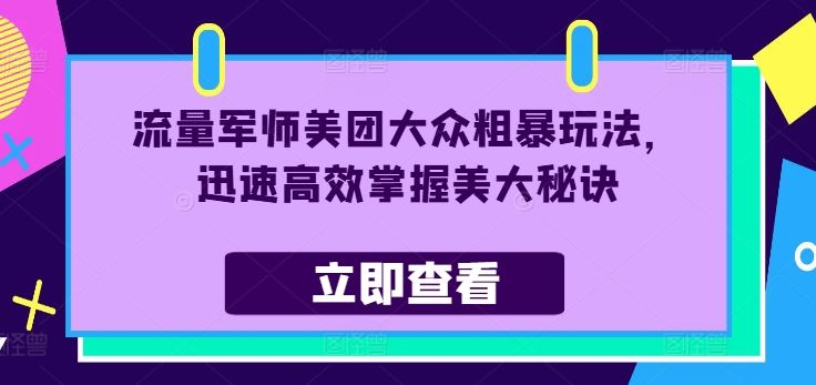流量军师美团大众粗暴玩法，迅速高效掌握美大秘诀-耐玩网创