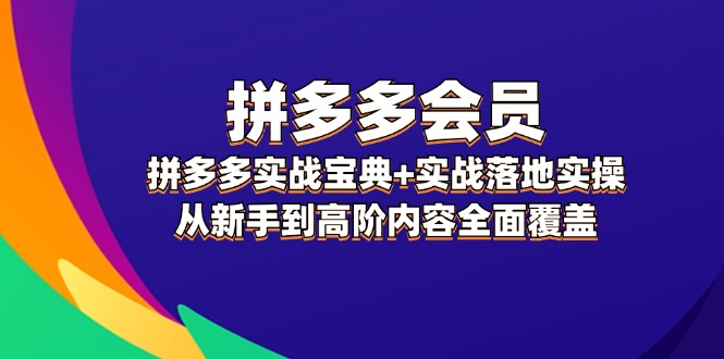 （12056期）拼多多 会员，拼多多实战宝典+实战落地实操，从新手到高阶内容全面覆盖-耐玩网创