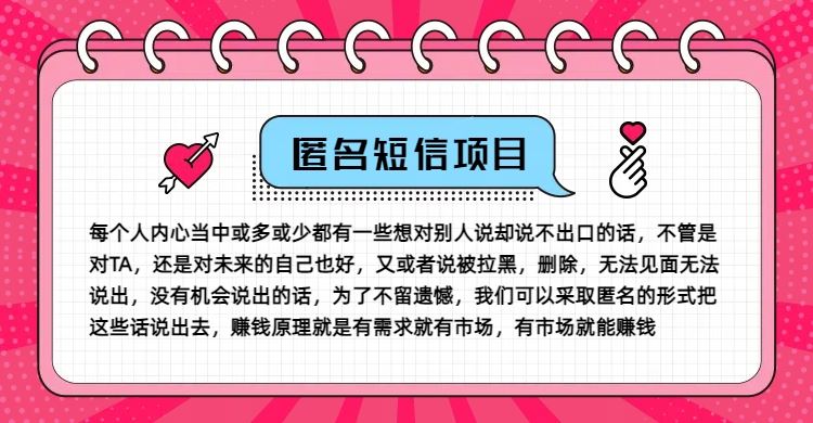 冷门小众赚钱项目，匿名短信，玩转信息差，月入五位数【揭秘】-耐玩网创