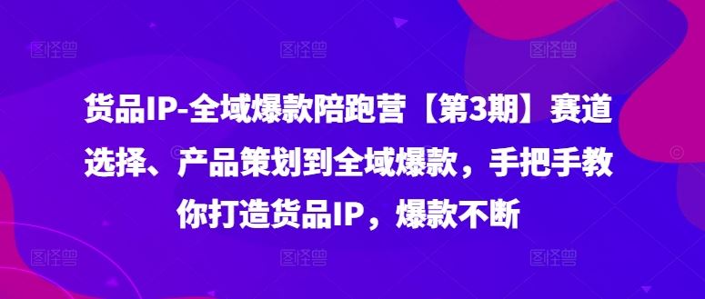货品IP全域爆款陪跑营【第3期】赛道选择、产品策划到全域爆款，手把手教你打造货品IP，爆款不断-耐玩网创