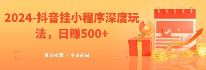 2024全网首次披露，抖音挂小程序深度玩法，日赚500+，简单、稳定，带渠道收入，小白必做【揭秘】-耐玩网创