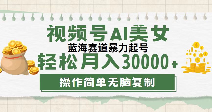 （12087期）视频号AI美女跳舞，轻松月入30000+，蓝海赛道，流量池巨大，起号猛，无…-耐玩网创